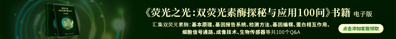 雙熒光素酶報告系統