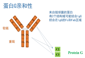 分子互作