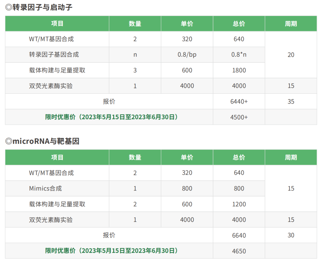 雙熒光素酶檢測