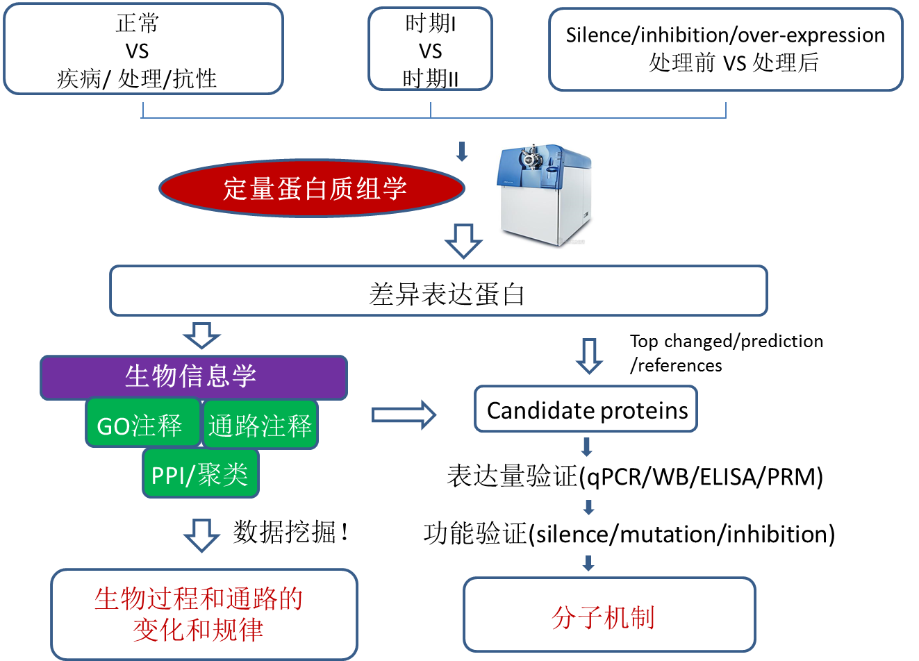 蛋白質組學研究思路