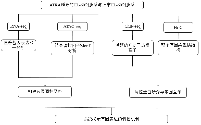 技術(shù)路線