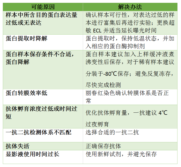 WB無目的條帶