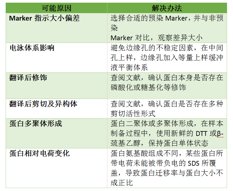 WB條帶大小