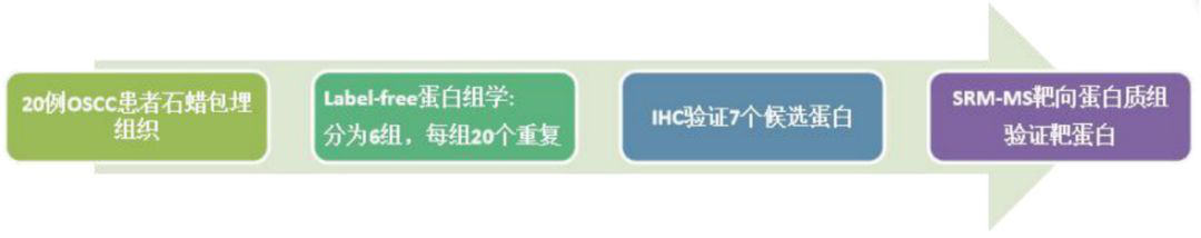 蛋白質組學技術路線