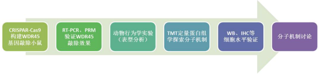 蛋白質組學技術路線