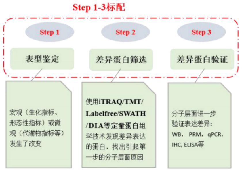 蛋白質組學設計思路