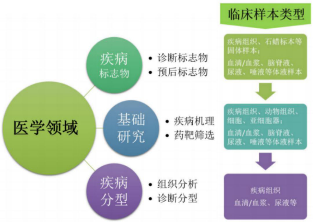 蛋白質組學應用