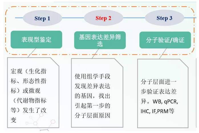 蛋白質(zhì)組學(xué)