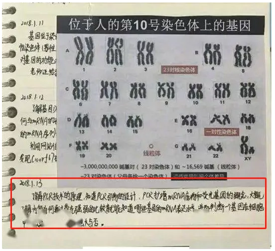 PCR