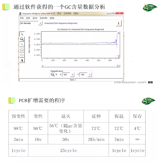 PCR擴(kuò)增需要的程序