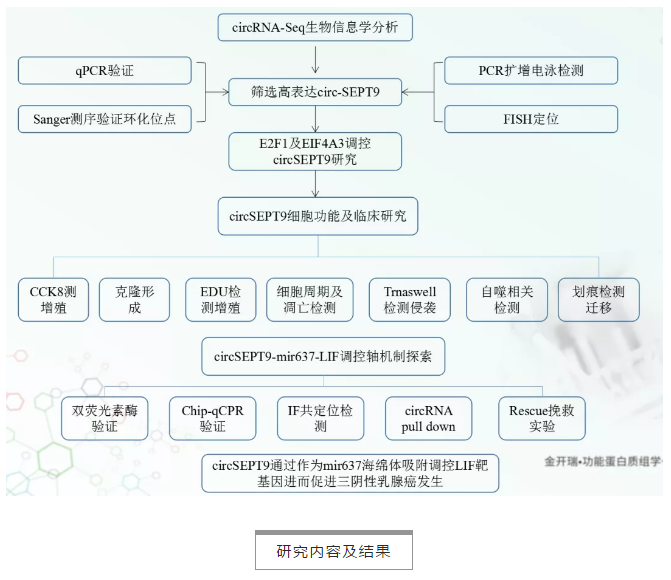 技術路線