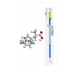 RNA pull down